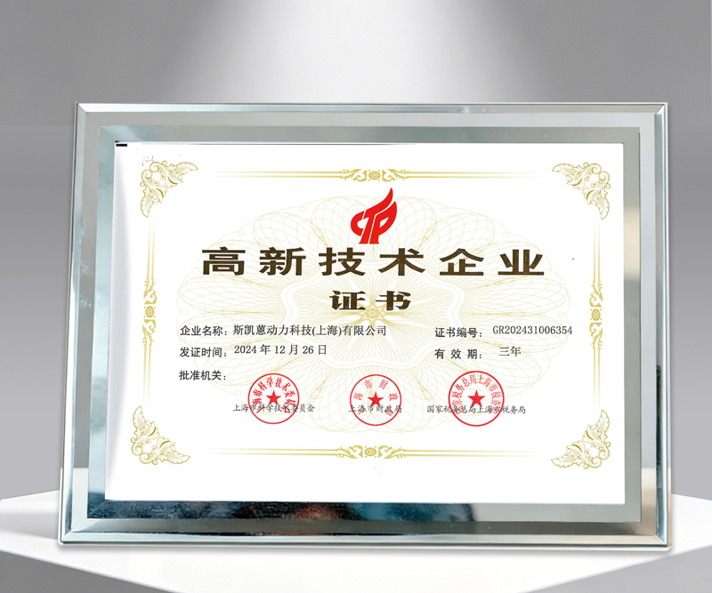 2025: High-tech Certification, Leading Development